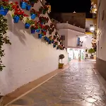 Апартаменты Banus - Iris Tropical Garden Banus Марбелья